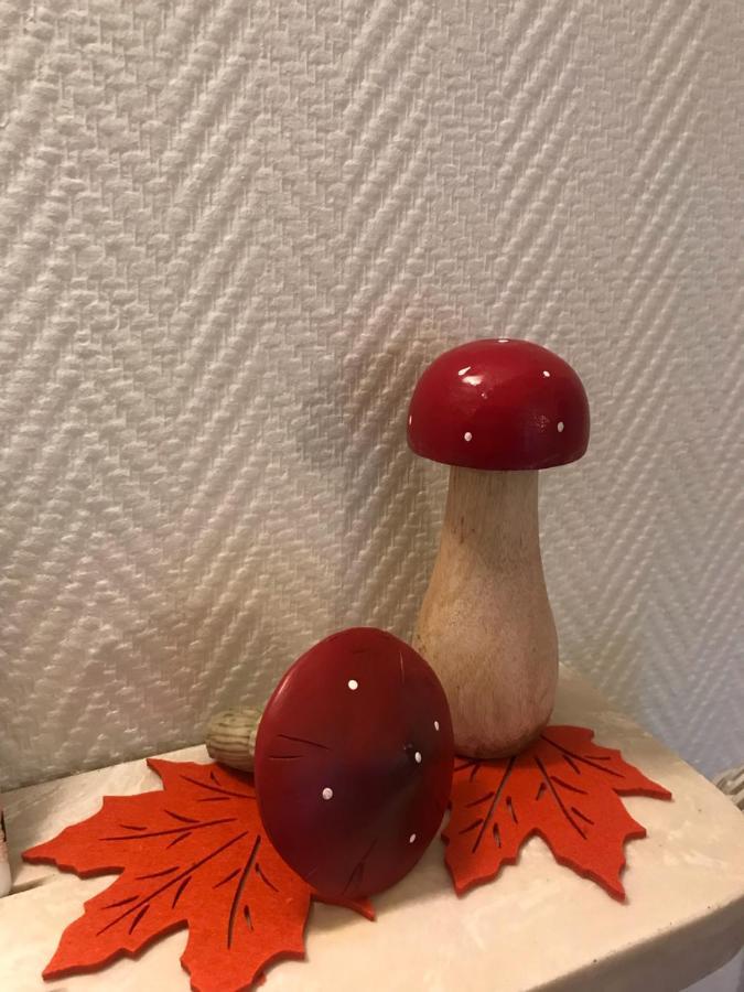 Appartement Chez Fabie Sélestat Esterno foto