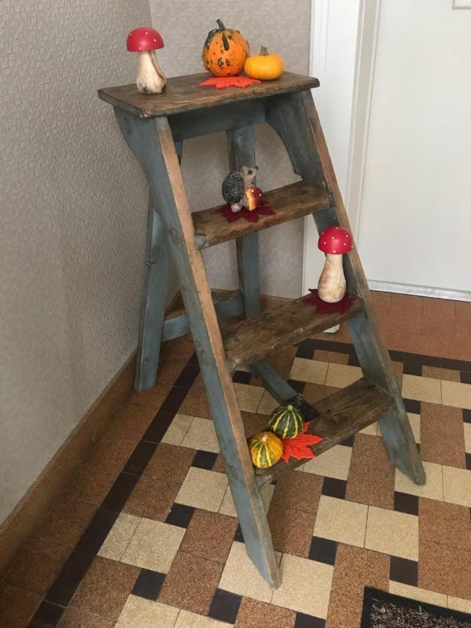 Appartement Chez Fabie Sélestat Esterno foto