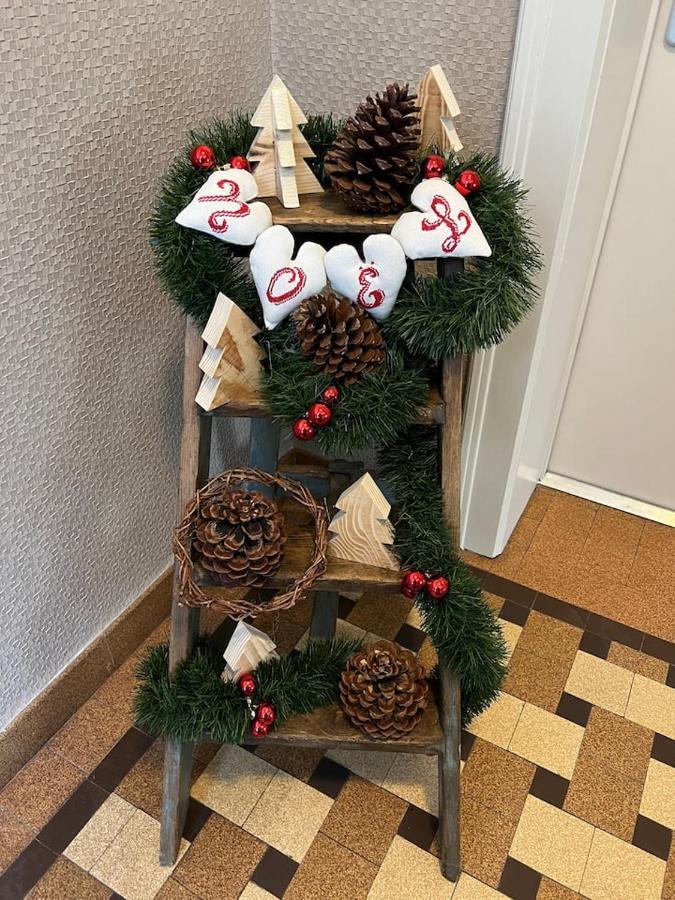 Appartement Chez Fabie Sélestat Esterno foto