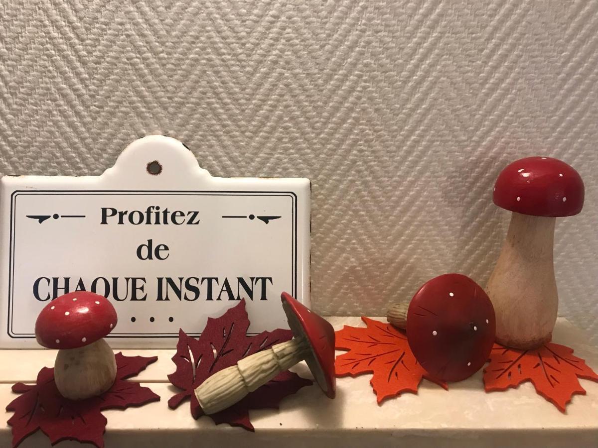 Appartement Chez Fabie Sélestat Esterno foto