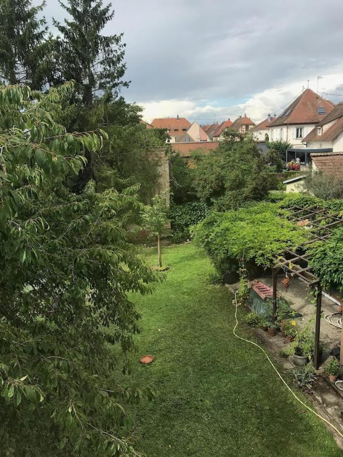 Appartement Chez Fabie Sélestat Esterno foto